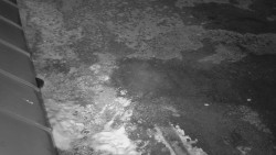 Nástup na běžecké tratě