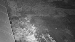 Nástup na běžecké tratě