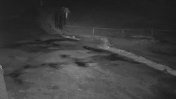 Nástup na běžecké tratě