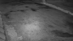 Nástup na běžecké tratě