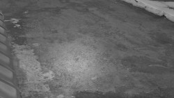 Nástup na běžecké tratě