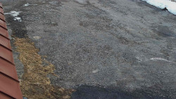 Nástup na běžecké tratě