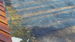 Nástup na běžecké tratě