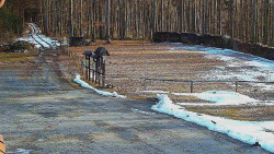 Nástup na běžecké tratě