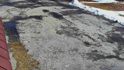 Nástup na běžecké tratě