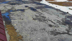 Nástup na běžecké tratě