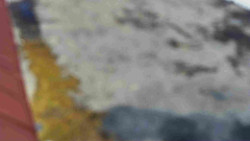 Nástup na běžecké tratě