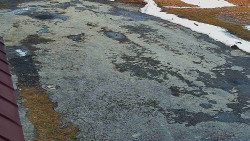 Nástup na běžecké tratě