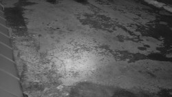 Nástup na běžecké tratě