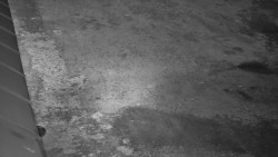 Nástup na běžecké tratě