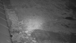 Nástup na běžecké tratě