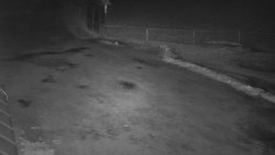 Nástup na běžecké tratě