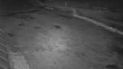 Nástup na běžecké tratě