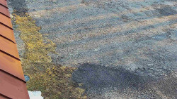 Nástup na běžecké tratě