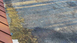 Nástup na běžecké tratě