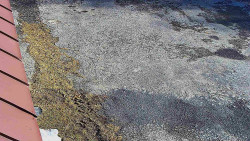 Nástup na běžecké tratě