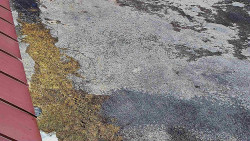 Nástup na běžecké tratě