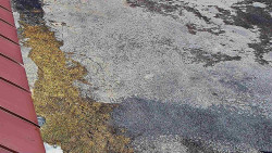 Nástup na běžecké tratě