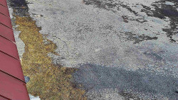 Nástup na běžecké tratě