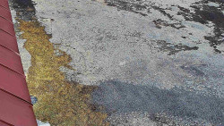 Nástup na běžecké tratě