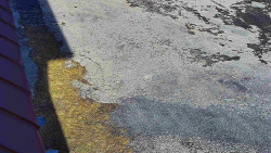 Nástup na běžecké tratě