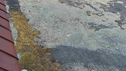 Nástup na běžecké tratě