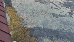 Nástup na běžecké tratě