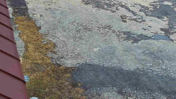 Nástup na běžecké tratě