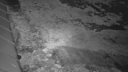 Nástup na běžecké tratě