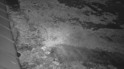 Nástup na běžecké tratě