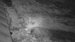 Nástup na běžecké tratě