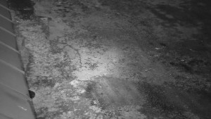 SkiAreál - Horský hotel Vsacký Cáb - Nástup na běžecké tratě - 28.2.2026 v 01:46