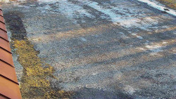 Nástup na běžecké tratě