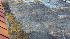 SkiAreál - Horský hotel Vsacký Cáb - Nástup na běžecké tratě - 28.2.2026 v 07:31