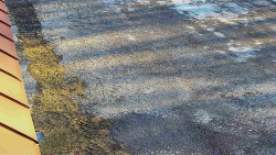 Nástup na běžecké tratě