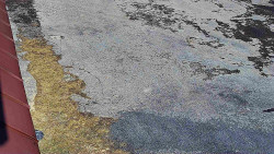 Nástup na běžecké tratě