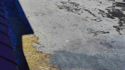 Nástup na běžecké tratě