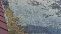 Nástup na běžecké tratě