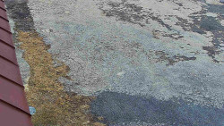 Nástup na běžecké tratě