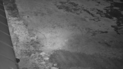 Nástup na běžecké tratě