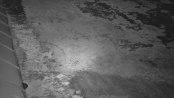 Nástup na běžecké tratě