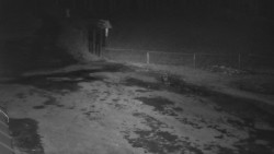 Nástup na běžecké tratě