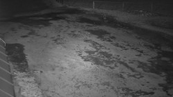 Nástup na běžecké tratě