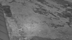 Nástup na běžecké tratě