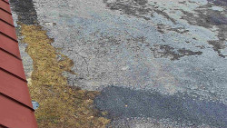 Nástup na běžecké tratě