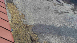 Nástup na běžecké tratě