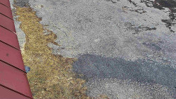 Nástup na běžecké tratě