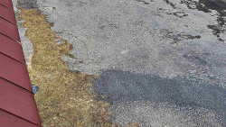 Nástup na běžecké tratě