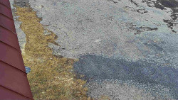 Nástup na běžecké tratě