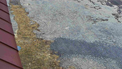 Nástup na běžecké tratě